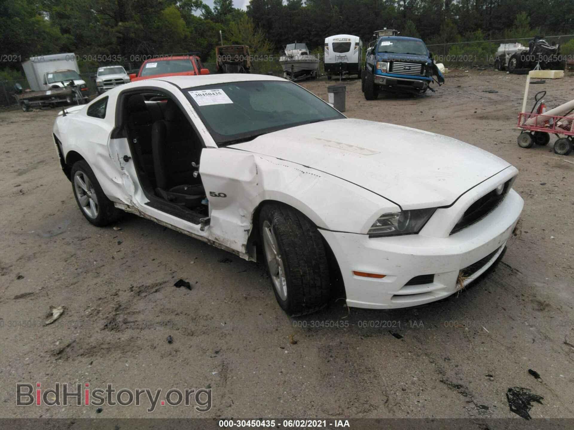 Photo 1ZVBP8CF8D5228532 - FORD MUSTANG 2013