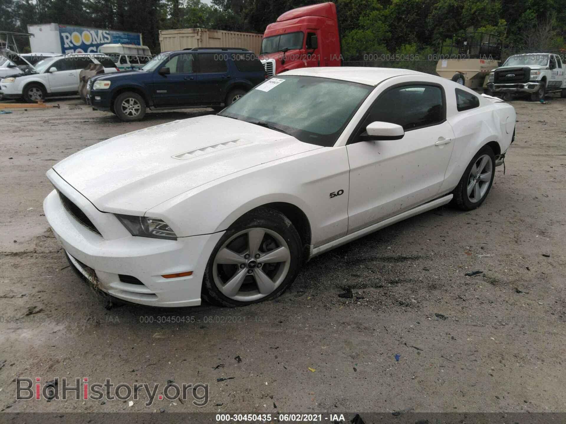 2013 FORD MUSTANG - VIN: 1ZVBP8CF8D5228532 - Фото 2