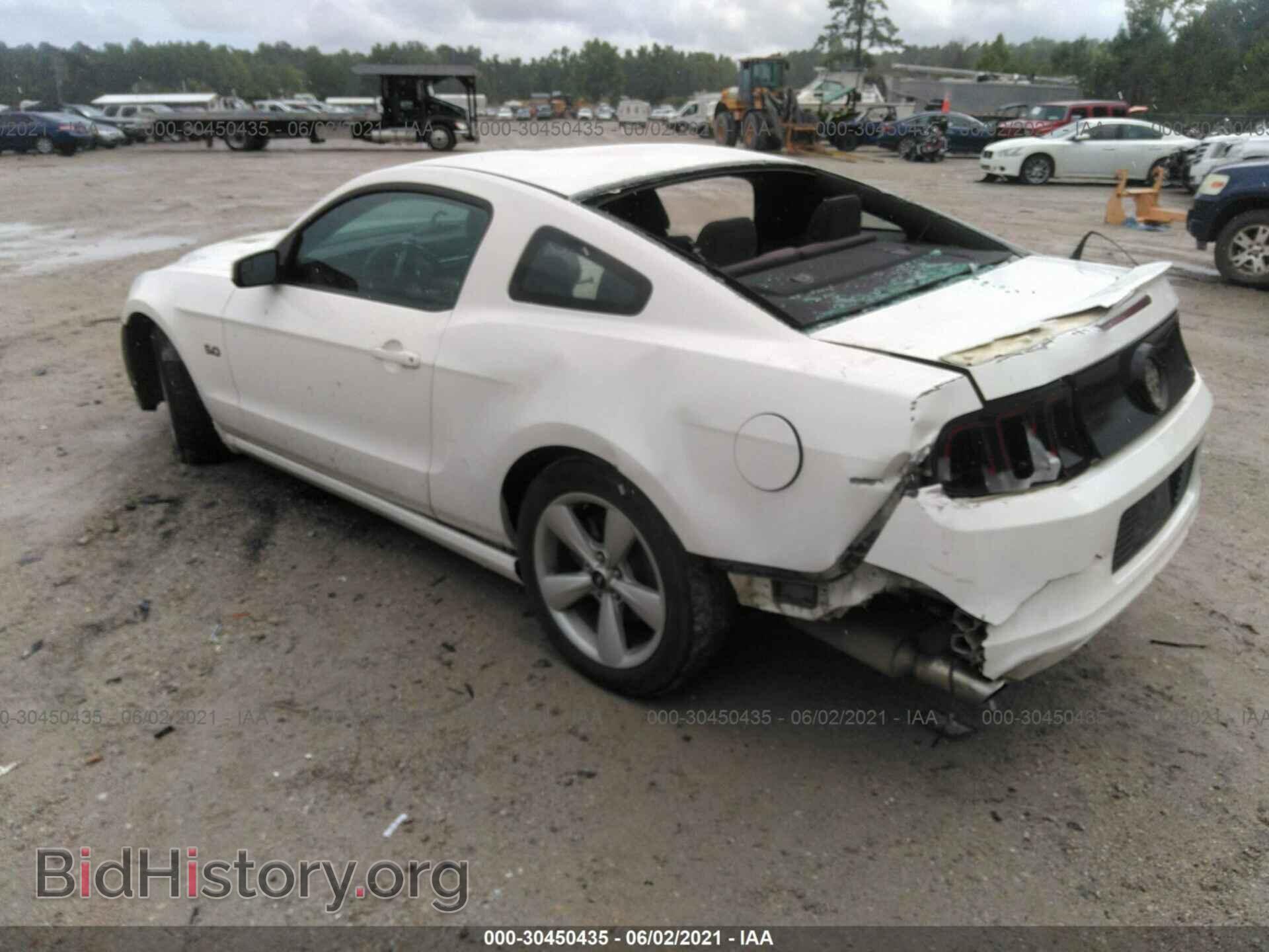 2013 FORD MUSTANG - VIN: 1ZVBP8CF8D5228532 - Фото 3