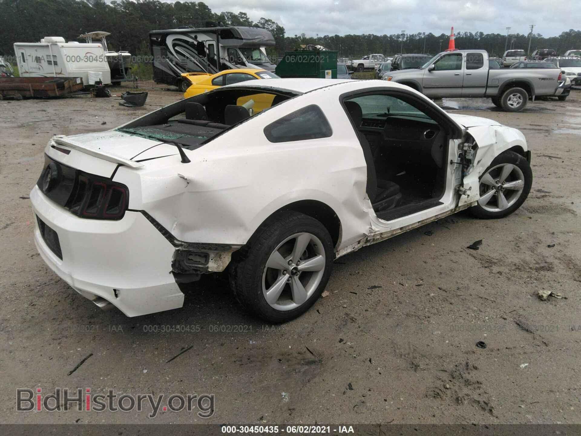 2013 FORD MUSTANG - VIN: 1ZVBP8CF8D5228532 - Фото 4