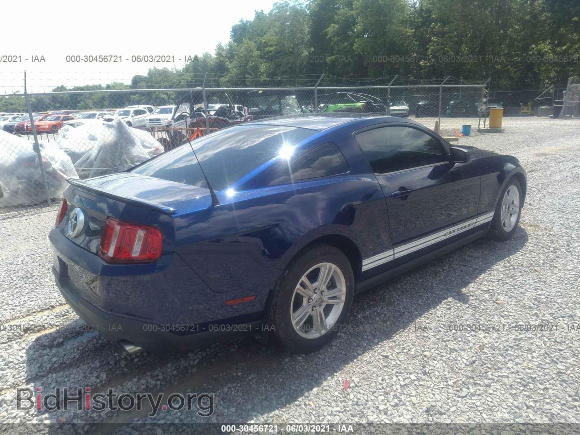 2010 FORD MUSTANG - VIN: 1ZVBP8AN8A5134706 - Фото 4