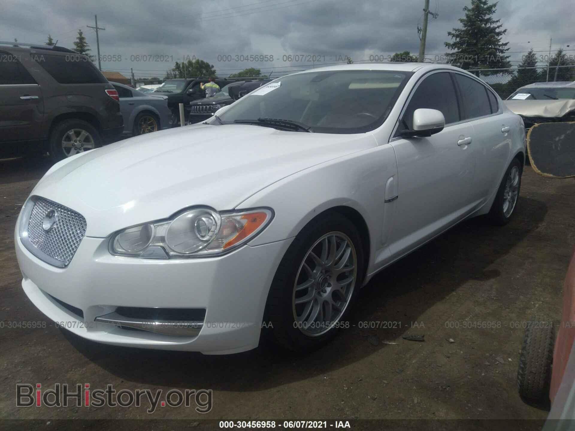 2011 JAGUAR XF - VIN: SAJWA0FB5BLR93868 - Фото 2