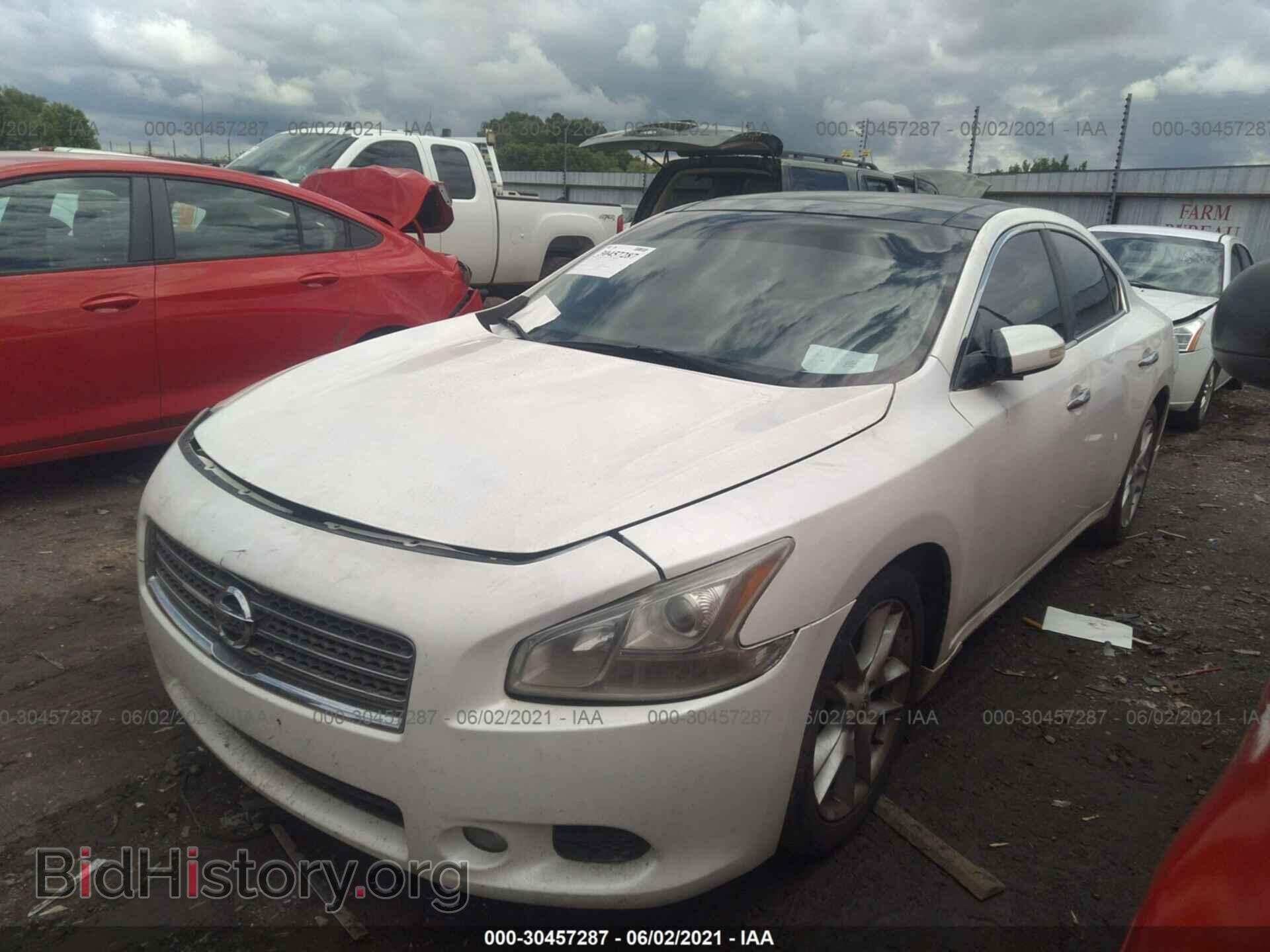 2009 NISSAN MAXIMA - VIN: 1N4AA51E59C837496 - Фото 2