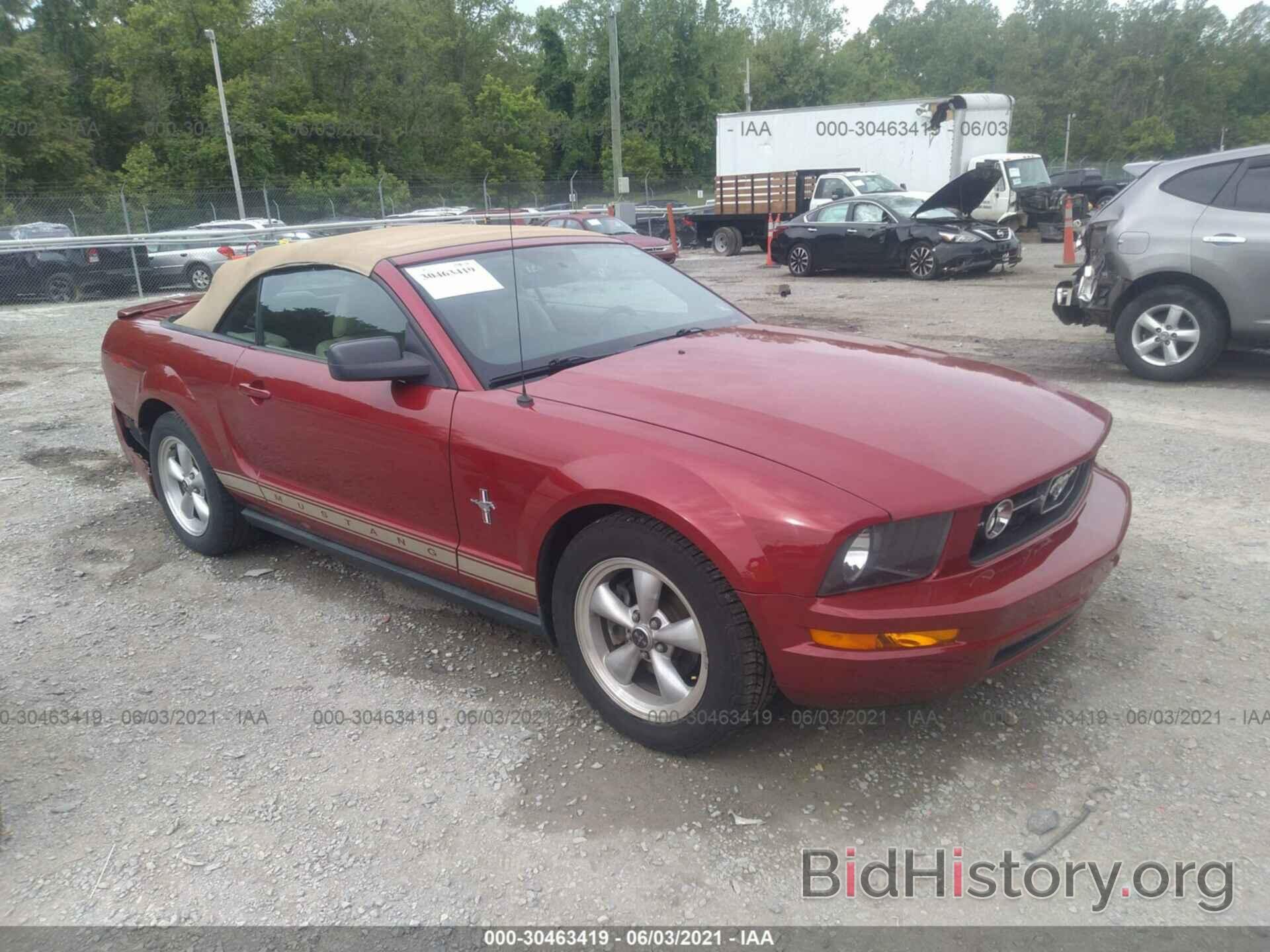 Photo 1ZVHT84N585185642 - FORD MUSTANG 2008