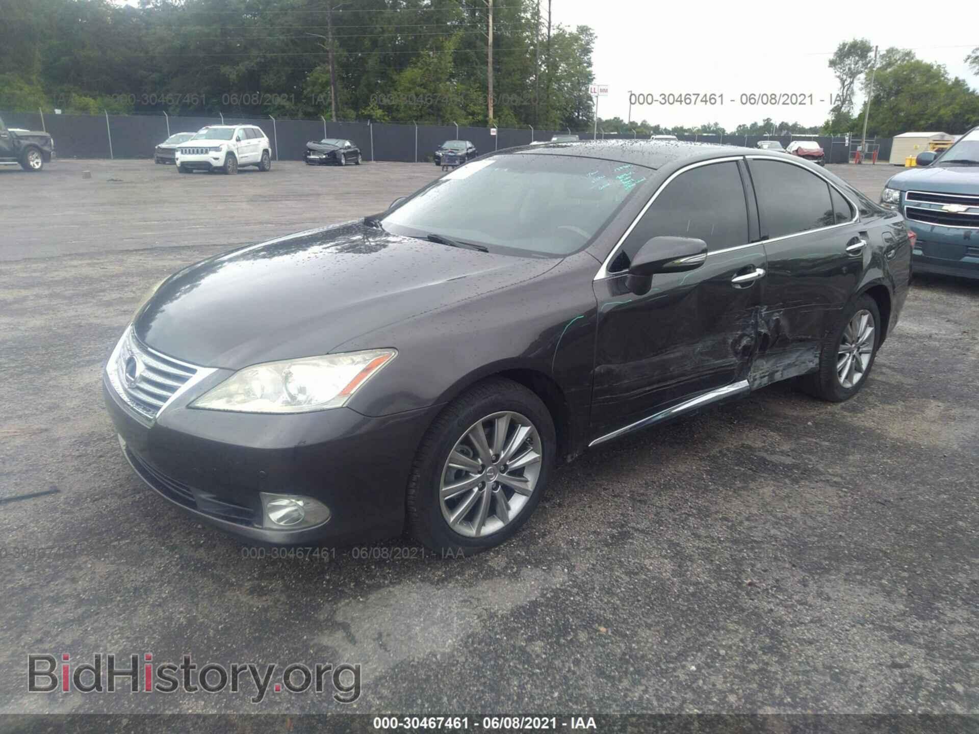 2011 LEXUS ES 350 - VIN: JTHBK1EG7B2440639 - Фото 2