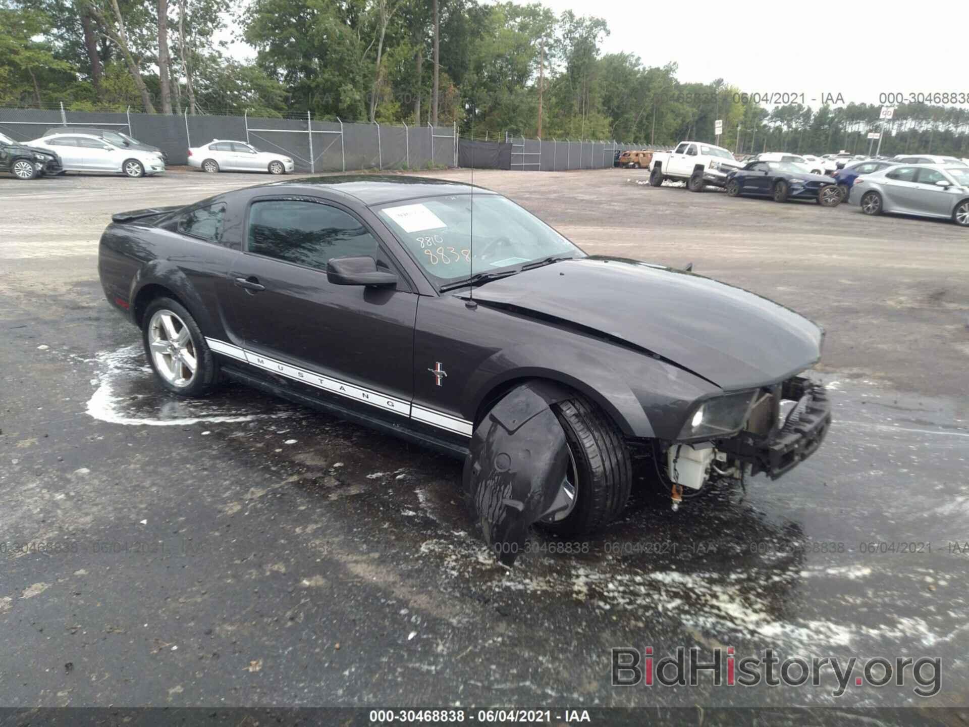 Photo 1ZVHT80N285199035 - FORD MUSTANG 2008