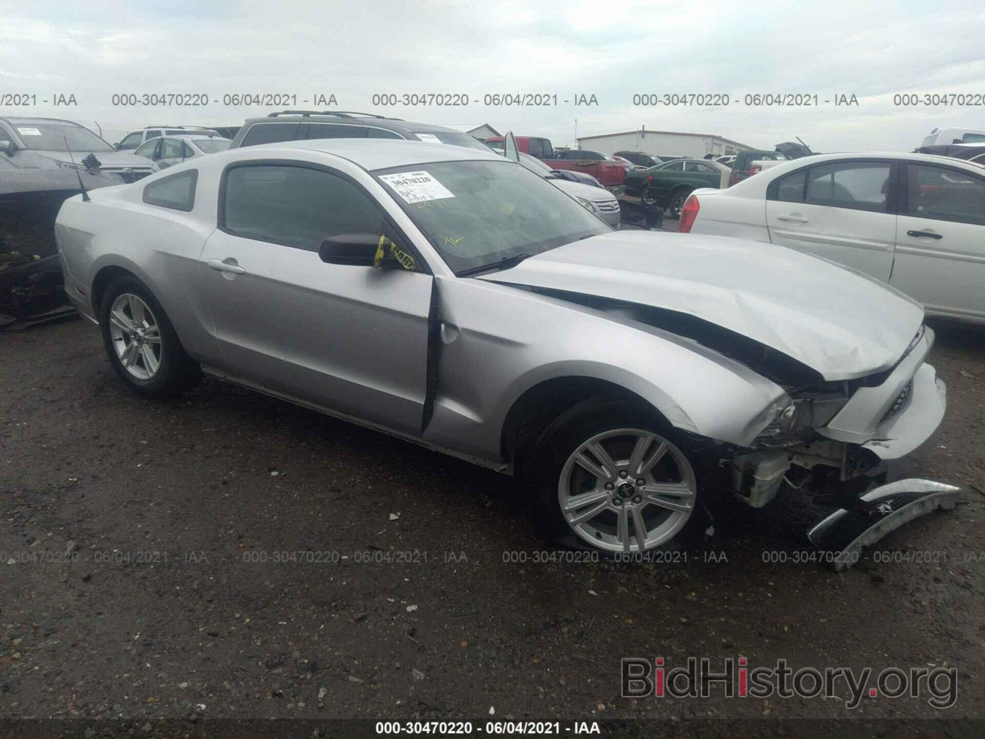 Photo 1ZVBP8AM4E5276368 - FORD MUSTANG 2014