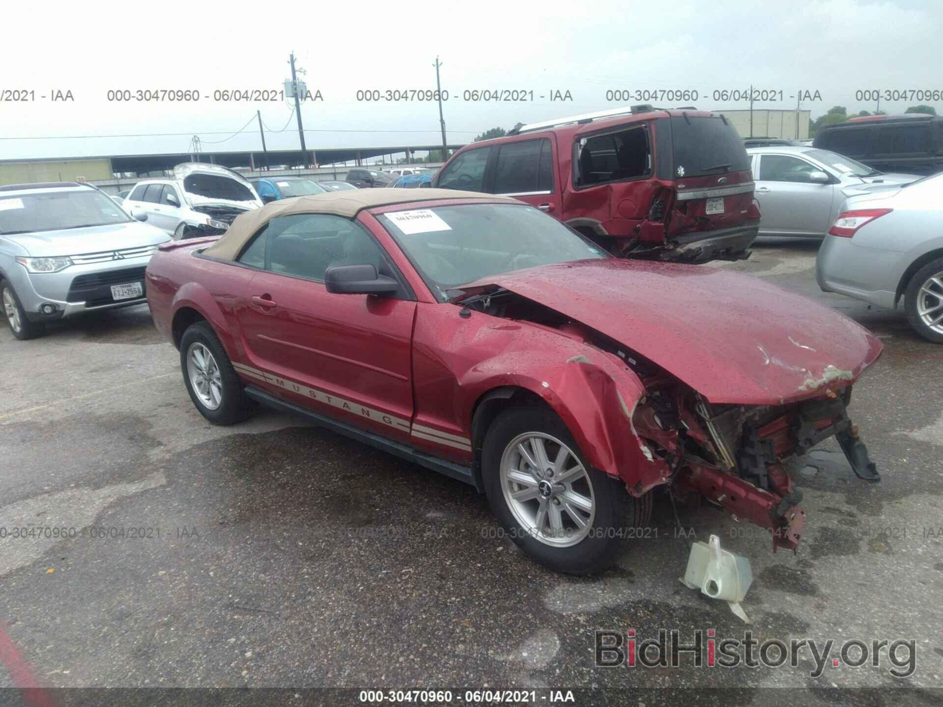 Photo 1ZVFT84N175333629 - FORD MUSTANG 2007