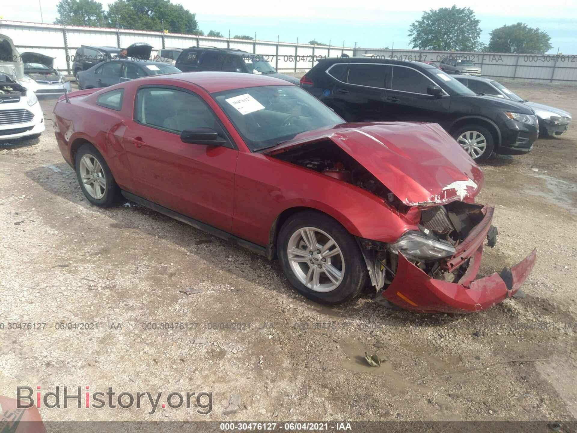 Photo 1ZVBP8AM3B5138042 - FORD MUSTANG 2011