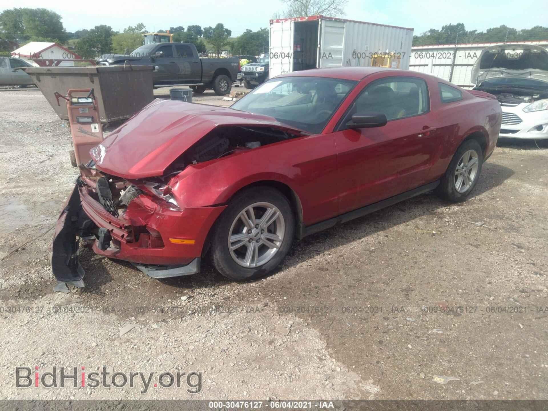 2011 FORD MUSTANG - VIN: 1ZVBP8AM3B5138042 - Фото 2