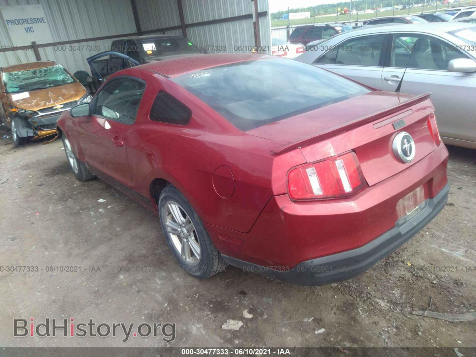 2010 FORD MUSTANG - VIN: 1ZVBP8AN8A5148377 - Фото 3
