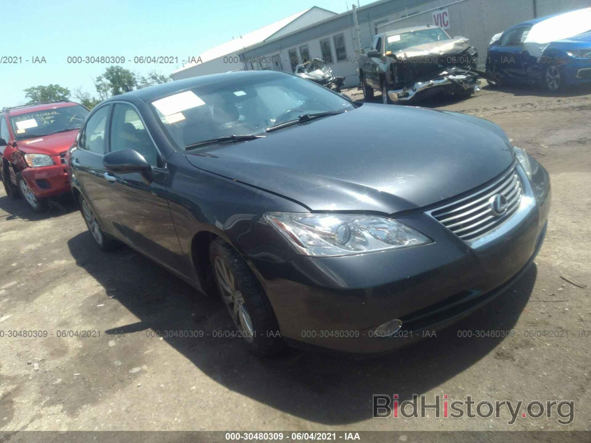 Photo JTHBJ46G182162249 - LEXUS ES 350 2008