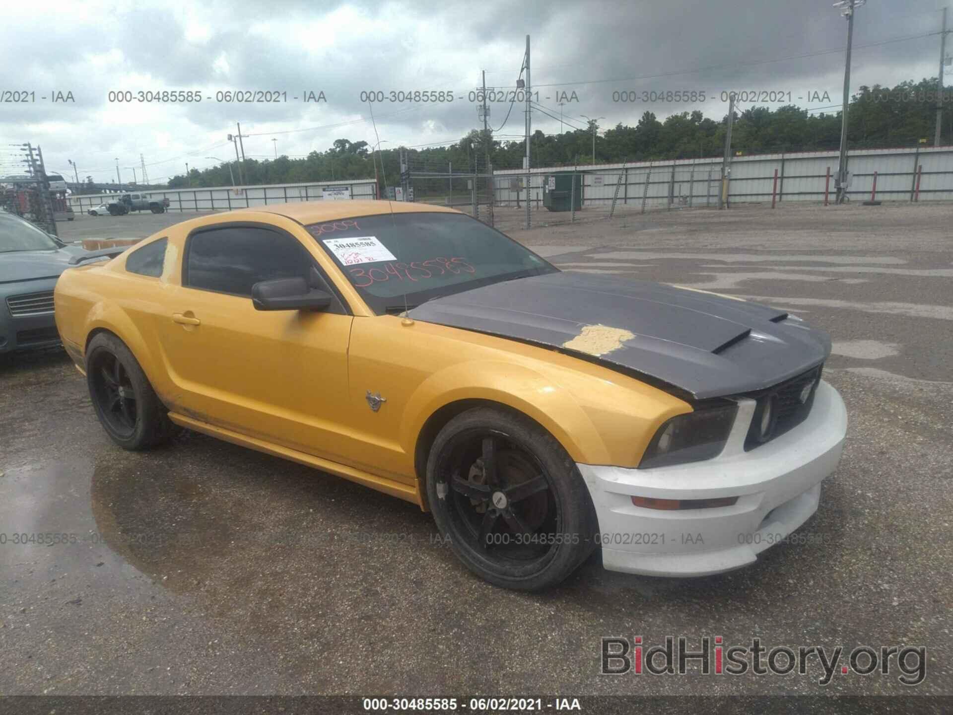 Photo 1ZVHT80N395115564 - FORD MUSTANG 2009