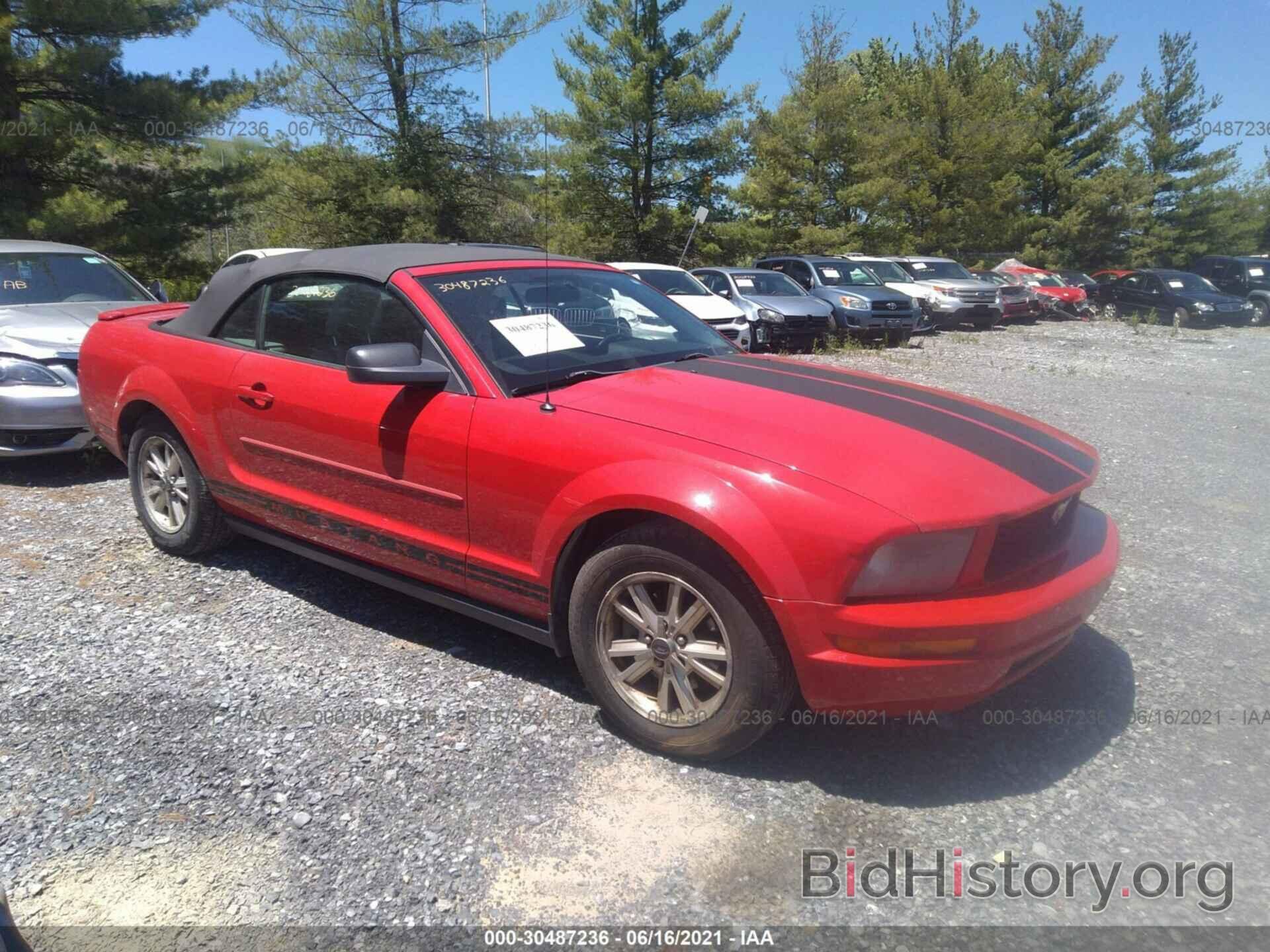 Photo 1ZVFT84N975353482 - FORD MUSTANG 2007