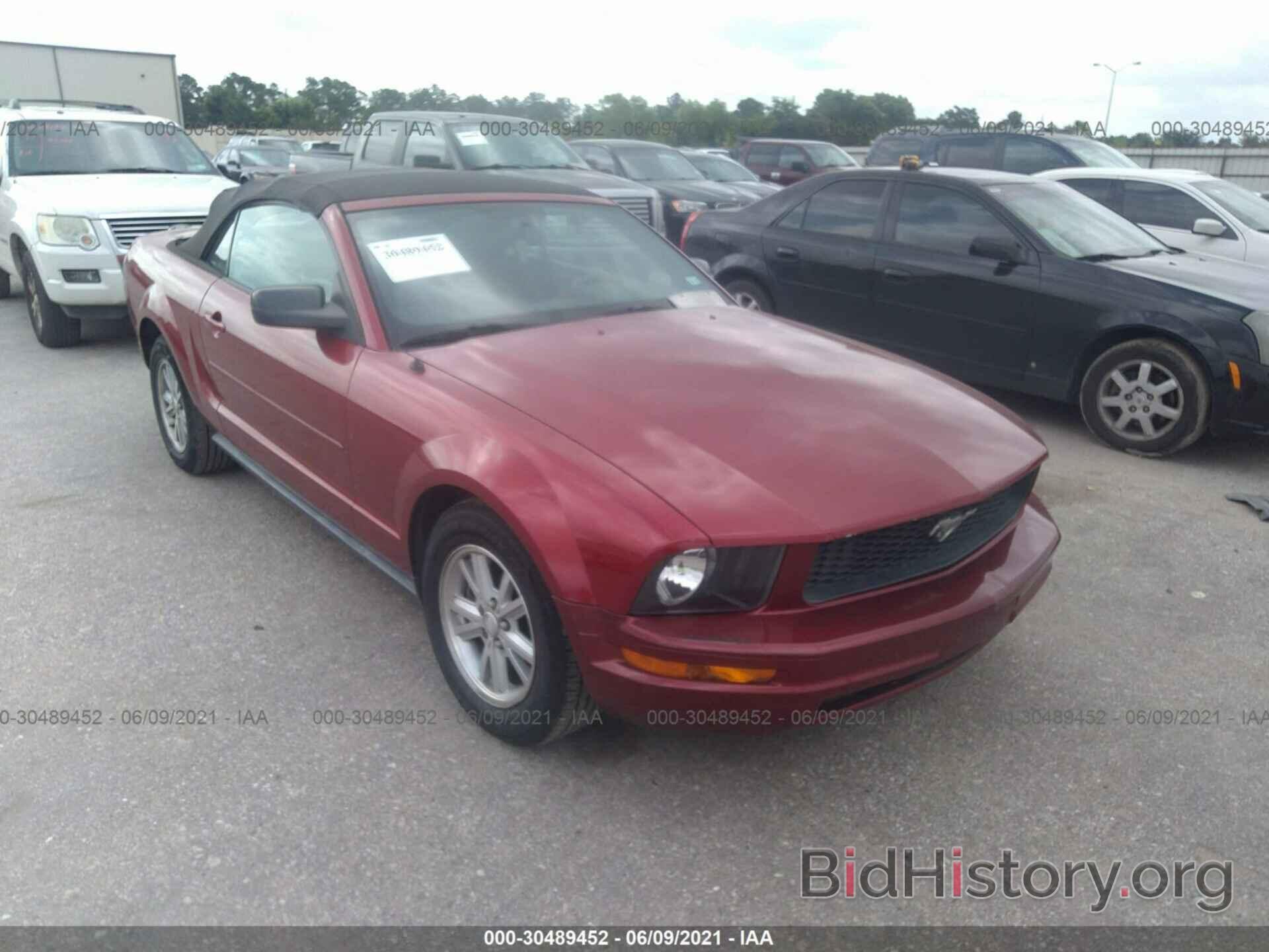 Photo 1ZVFT84N875309151 - FORD MUSTANG 2007