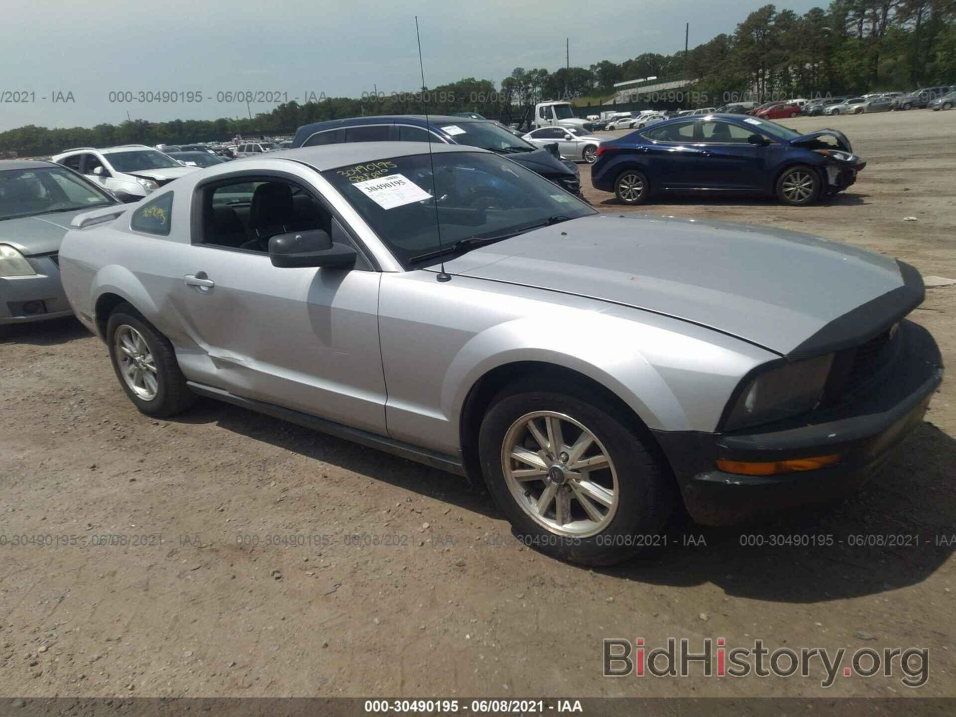 Photo 1ZVHT80N065106896 - FORD MUSTANG 2006