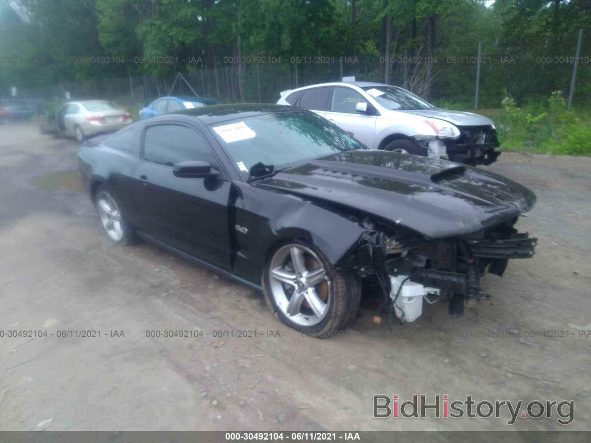 Фотография 1ZVBP8CF2B5154800 - FORD MUSTANG 2011