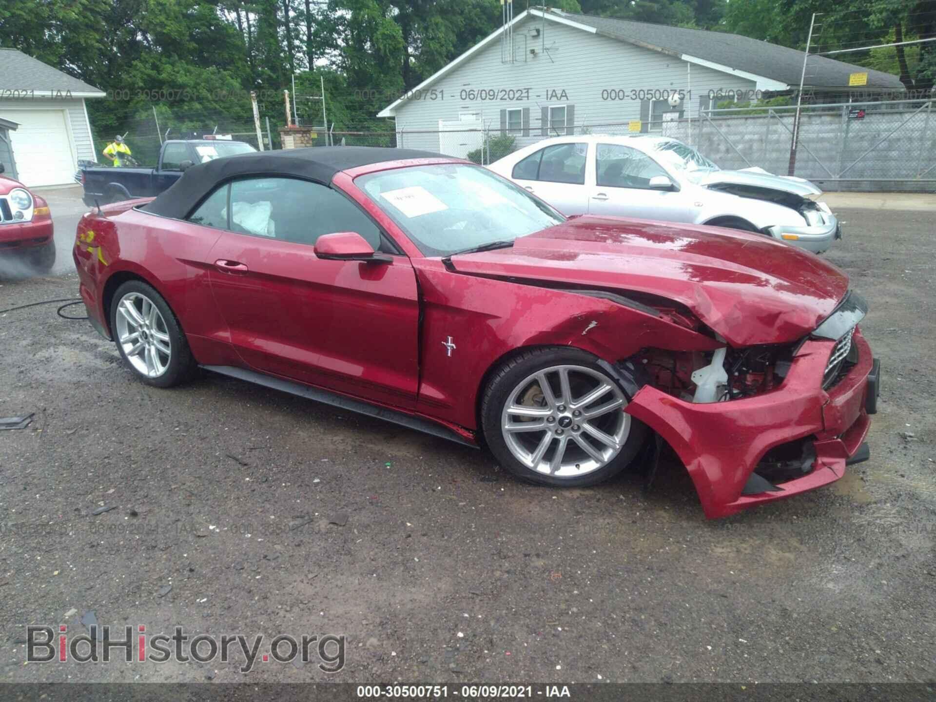 Photo 1FATP8UH6H5286528 - FORD MUSTANG 2017