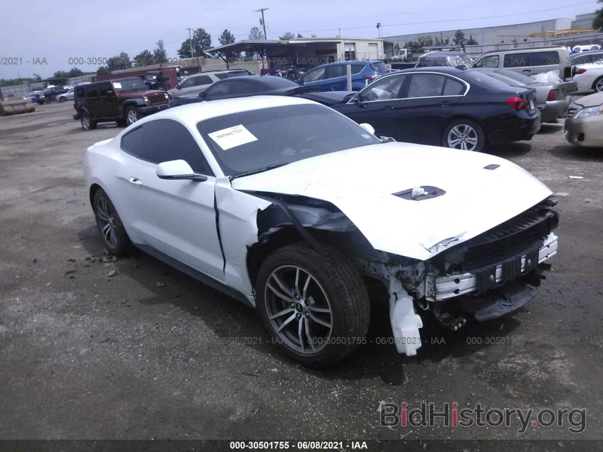 Photo 1FA6P8TH9K5186462 - FORD MUSTANG 2019