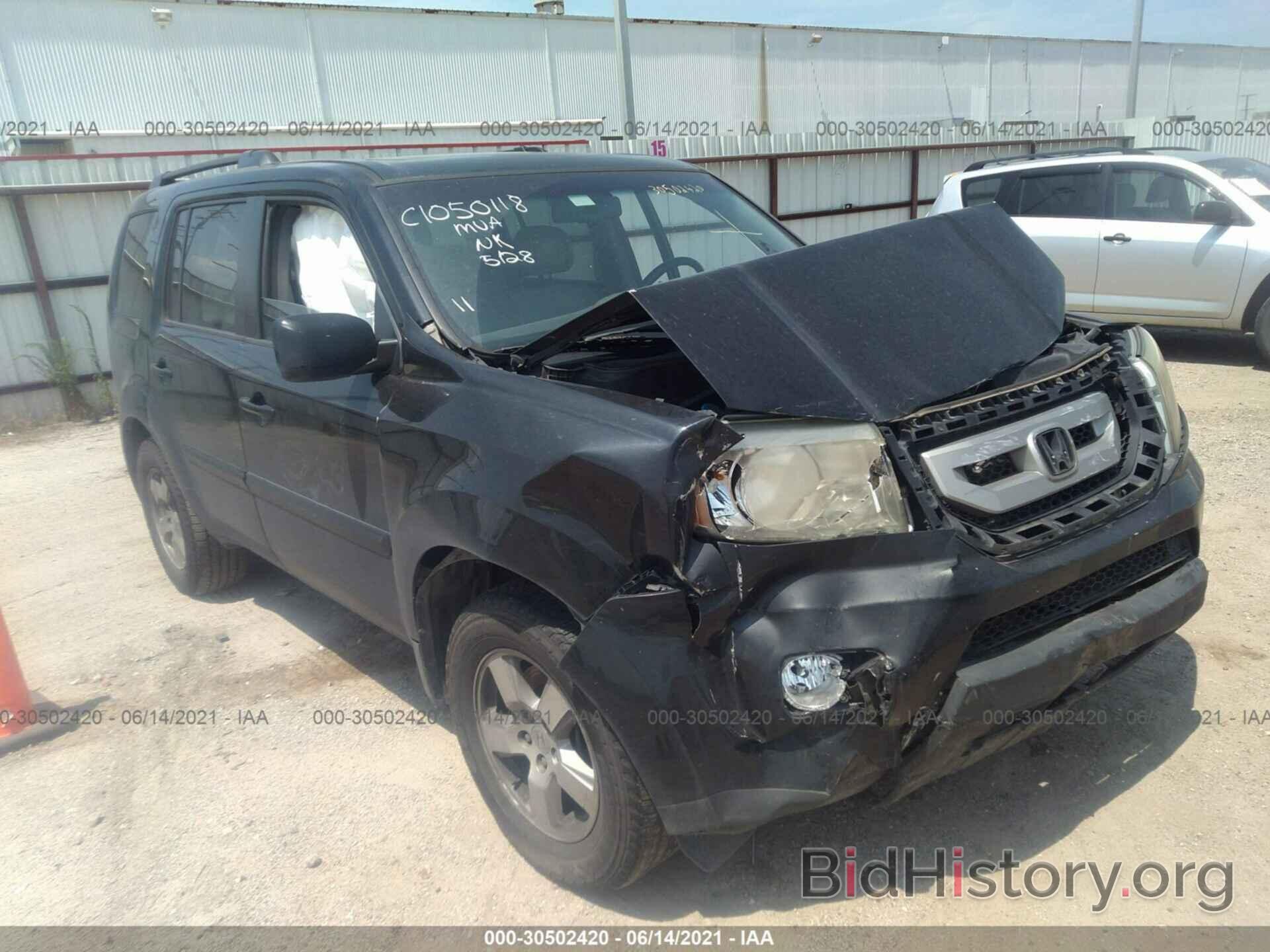 Photo 5FNYF3H51BB011788 - HONDA PILOT 2011