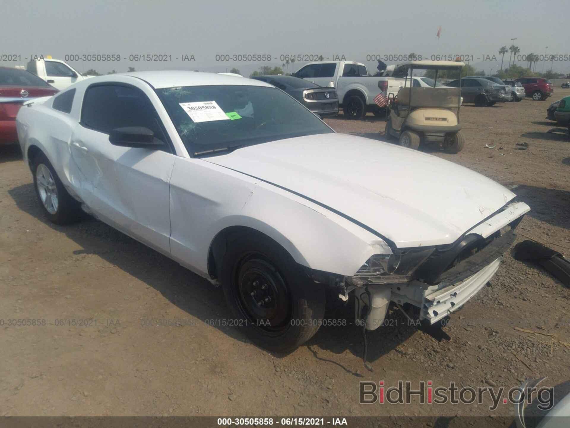 Photo 1ZVBP8AM4E5240163 - FORD MUSTANG 2014