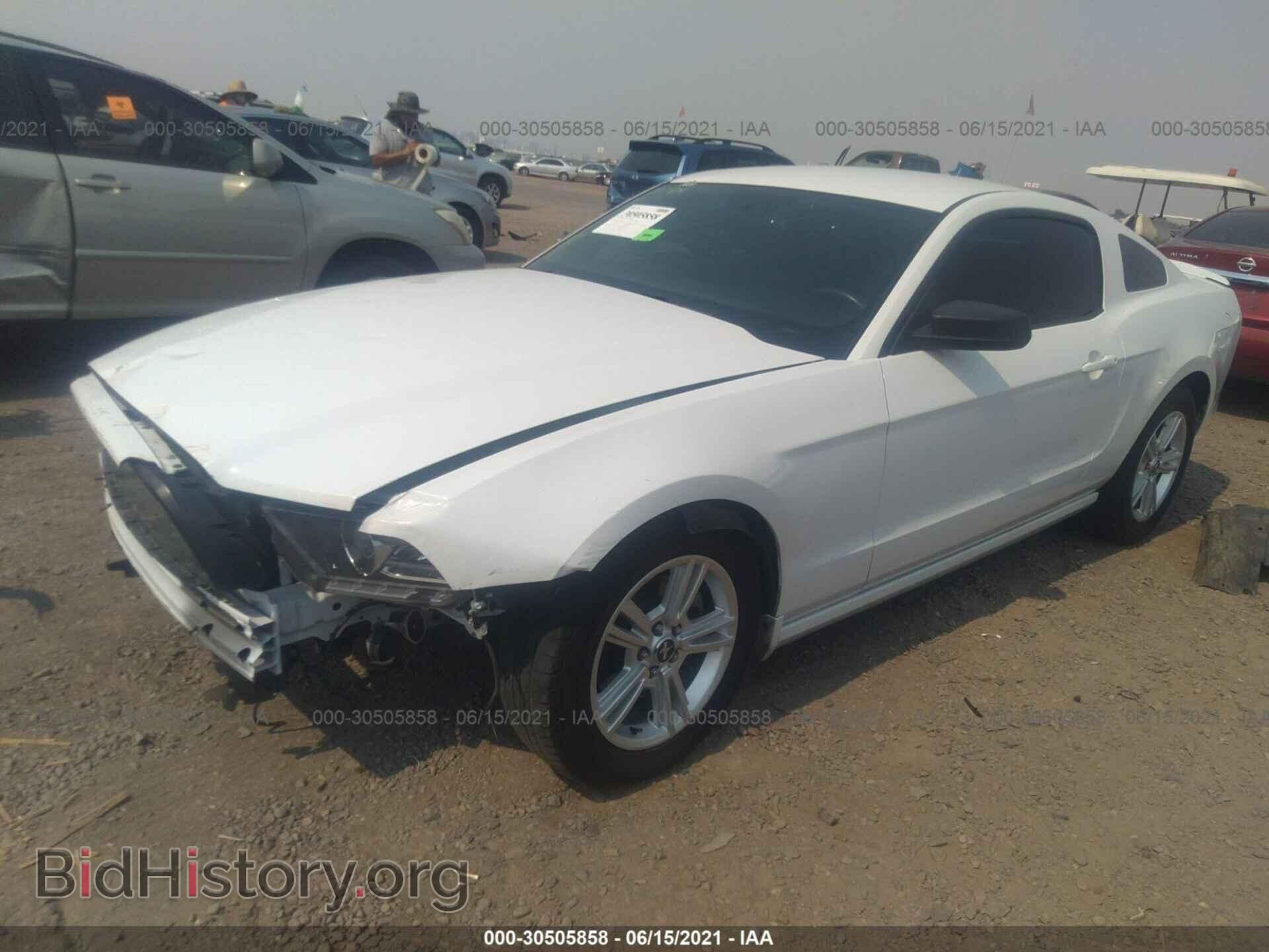 2014 FORD MUSTANG - VIN: 1ZVBP8AM4E5240163 - Фото 2