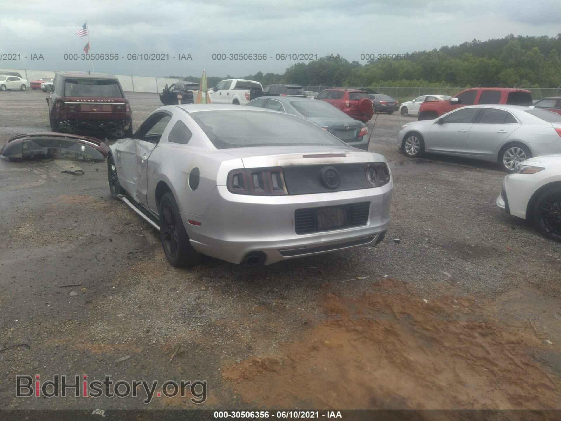 2014 FORD MUSTANG - VIN: 1ZVBP8AM4E5239675 - Фото 3