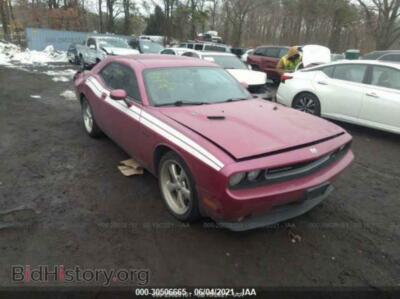 2010 Dodge CHALLENGER R/T Classic, розовый — VIN 2B3CJ5DT8AH295293, IAAI
