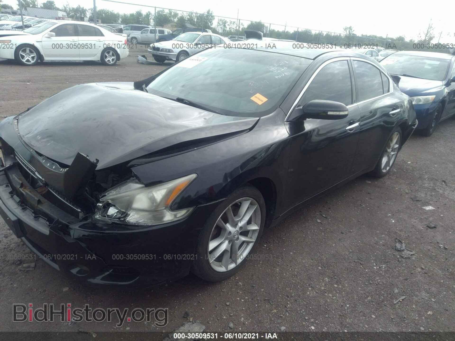 2010 NISSAN MAXIMA - VIN: 1N4AA5AP5AC816119 - Фото 2