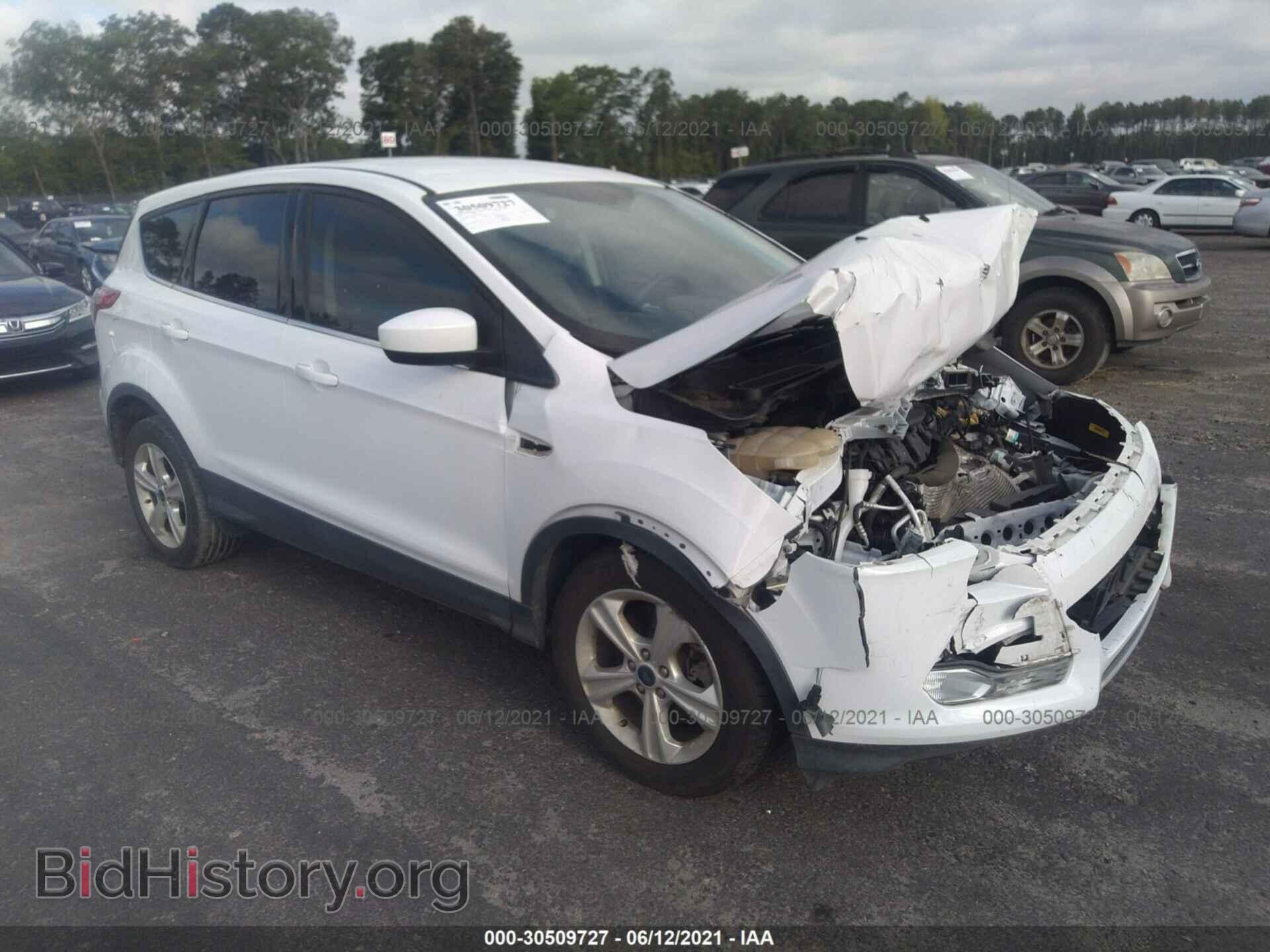 Photo 1FMCU0G91EUC15873 - FORD ESCAPE 2014