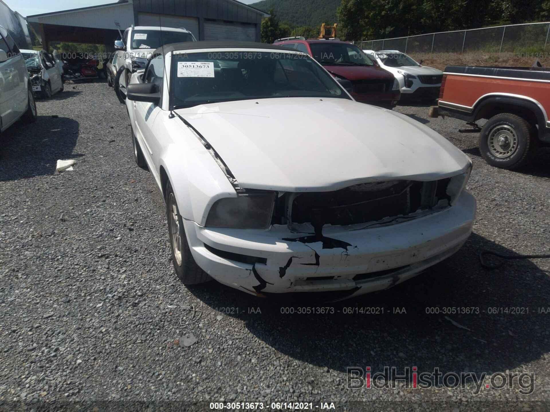 Photo 1ZVFT84N175260875 - FORD MUSTANG 2007