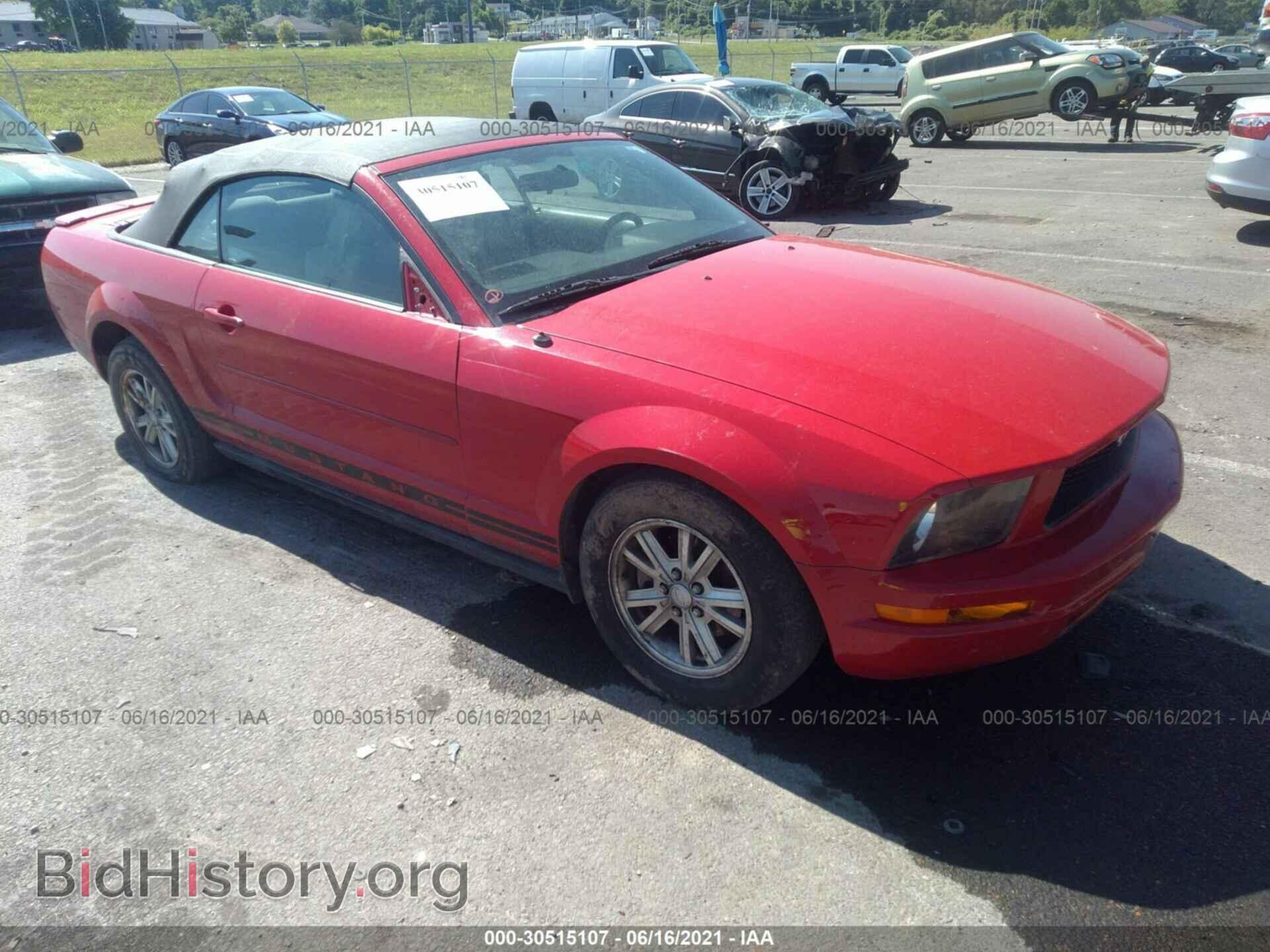 Фотография 1ZVHT84N385165406 - FORD MUSTANG 2008