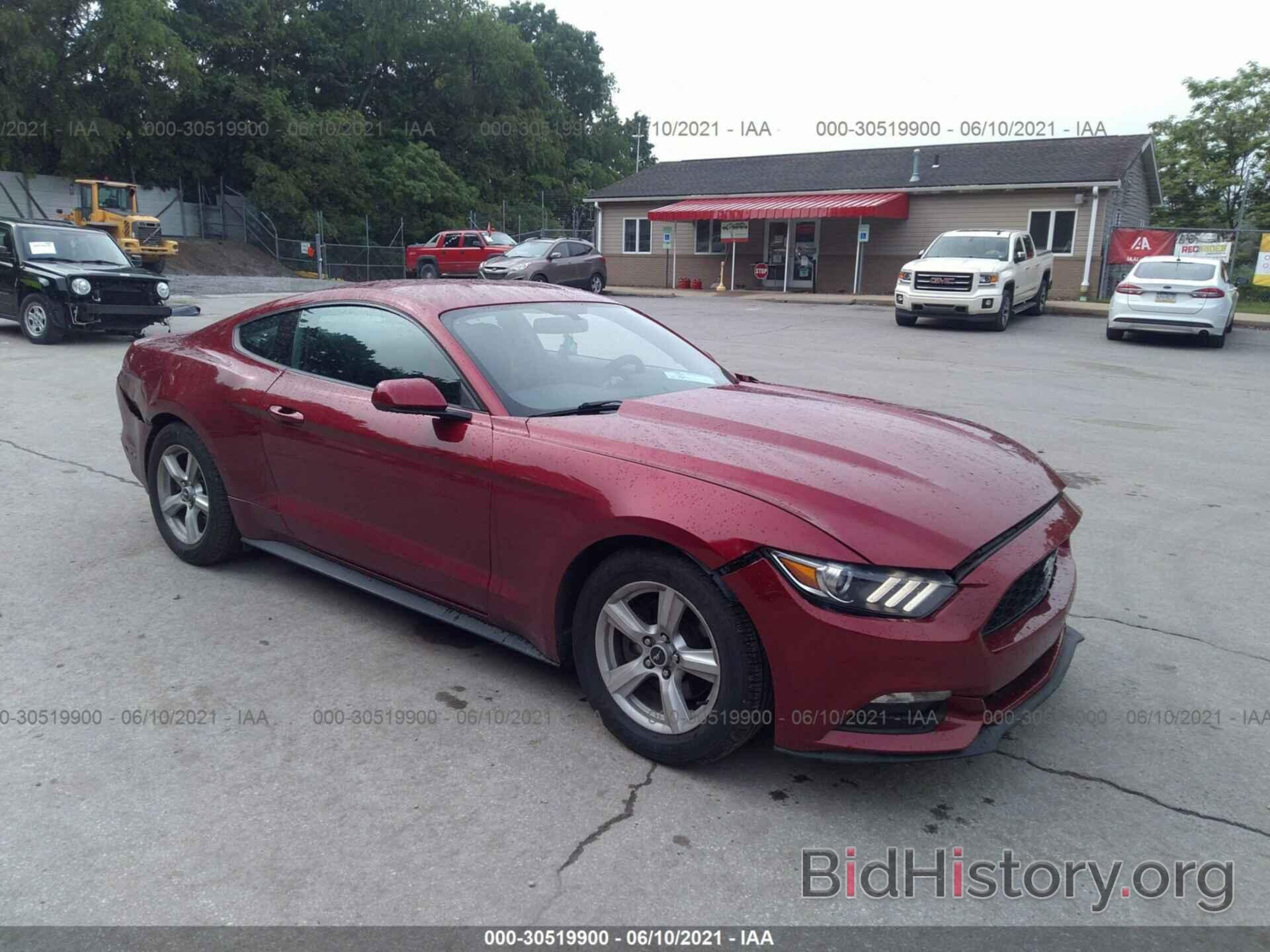 Photo 1FA6P8AM0H5264619 - FORD MUSTANG 2017
