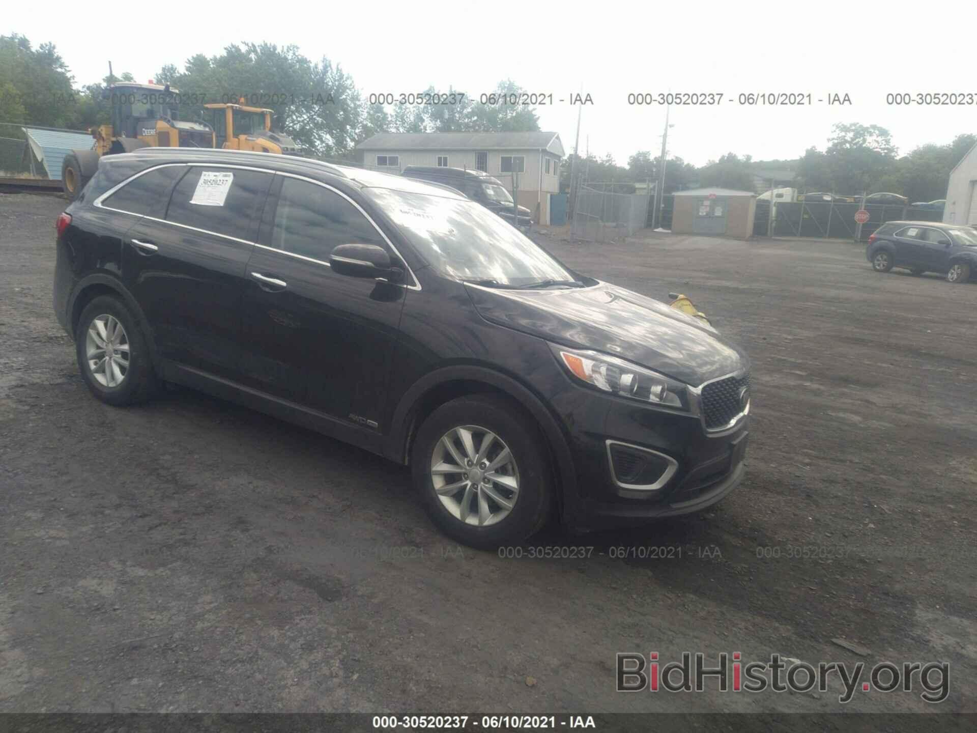 Photo 5XYPGDA51HG326231 - KIA SORENTO 2017