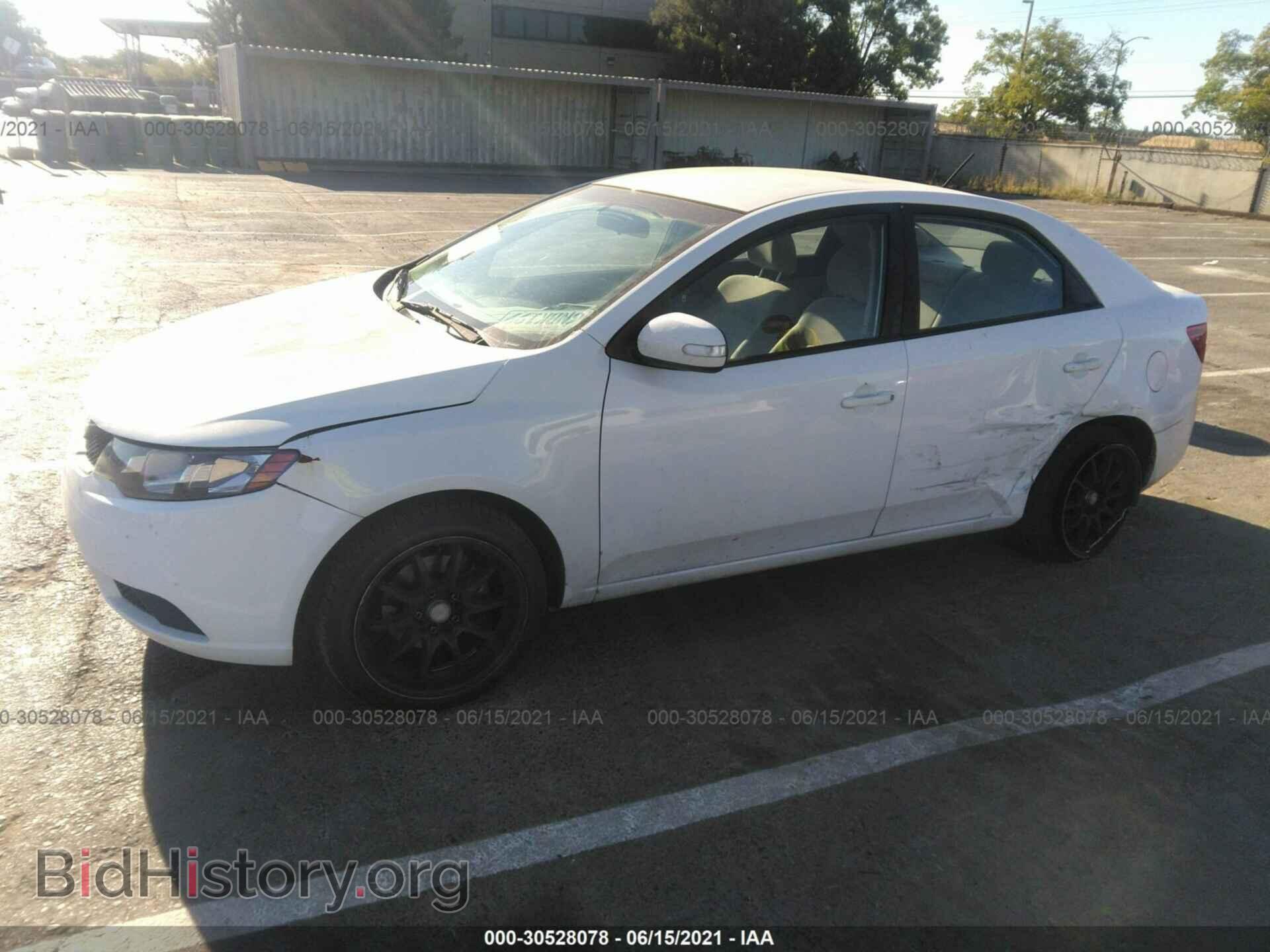 2010 KIA FORTE - VIN: KNAFU4A20A5244237 - Фото 2