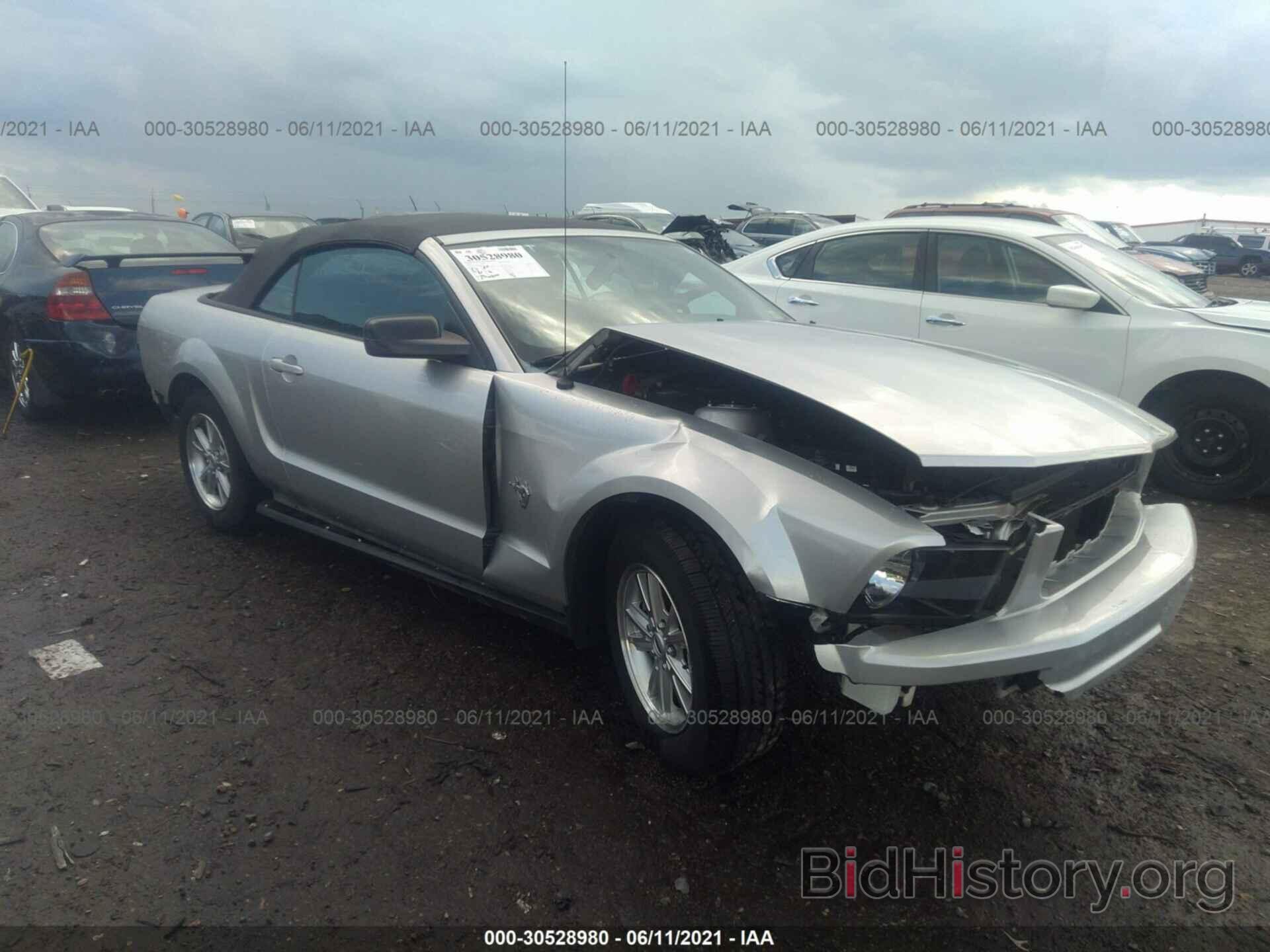 Photo 1ZVHT84N495125630 - FORD MUSTANG 2009