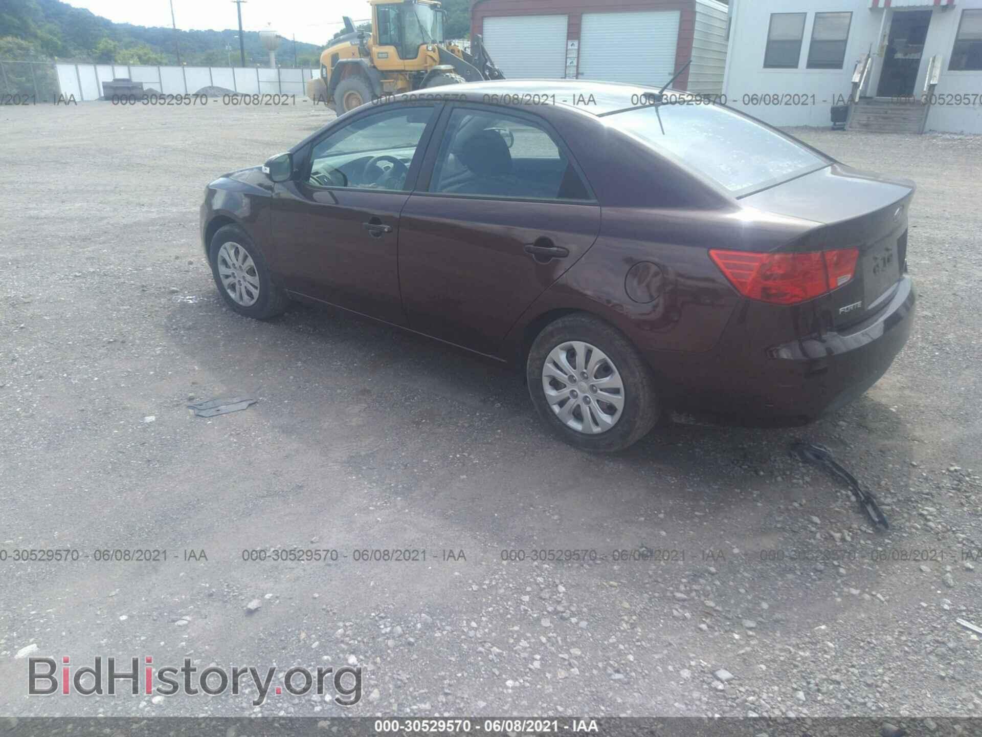 2010 KIA FORTE - VIN: KNAFU4A2XA5169434 - Фото 3