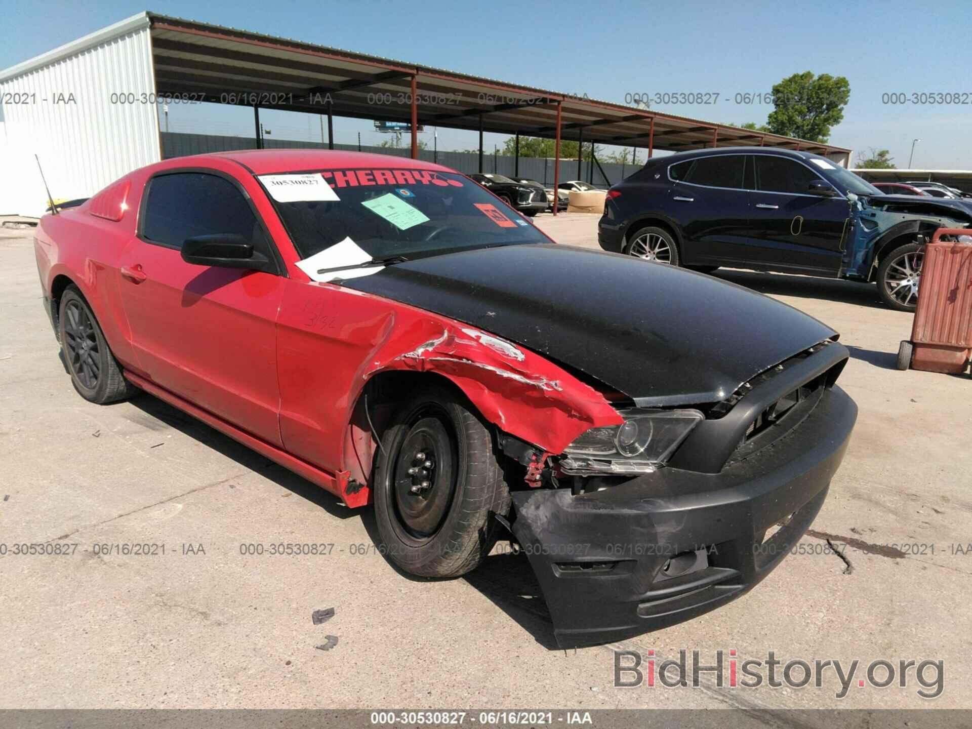 Photo 1ZVBP8AM6E5269938 - FORD MUSTANG 2014
