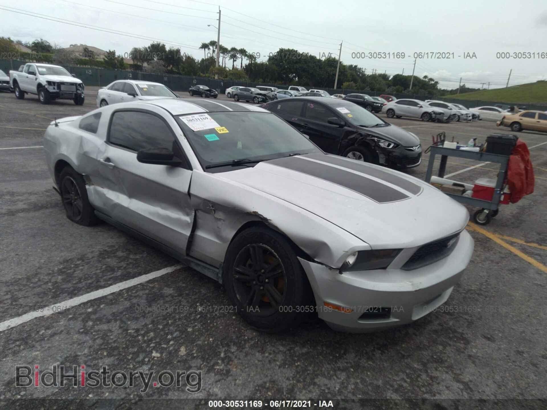 Photo 1ZVBP8AM2C5207840 - FORD MUSTANG 2012