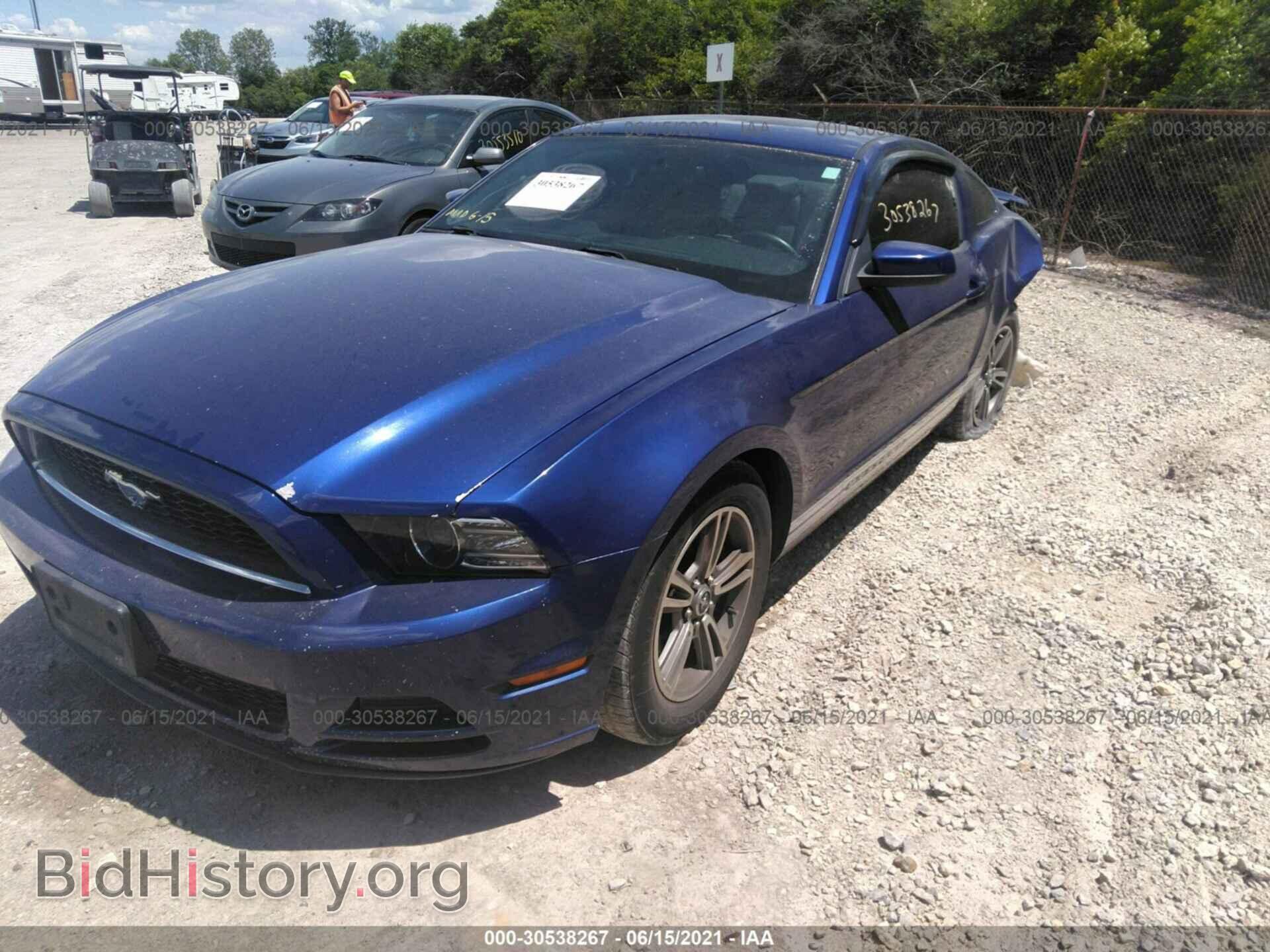 2013 FORD MUSTANG - VIN: 1ZVBP8AM6D5222102 - Фото 2