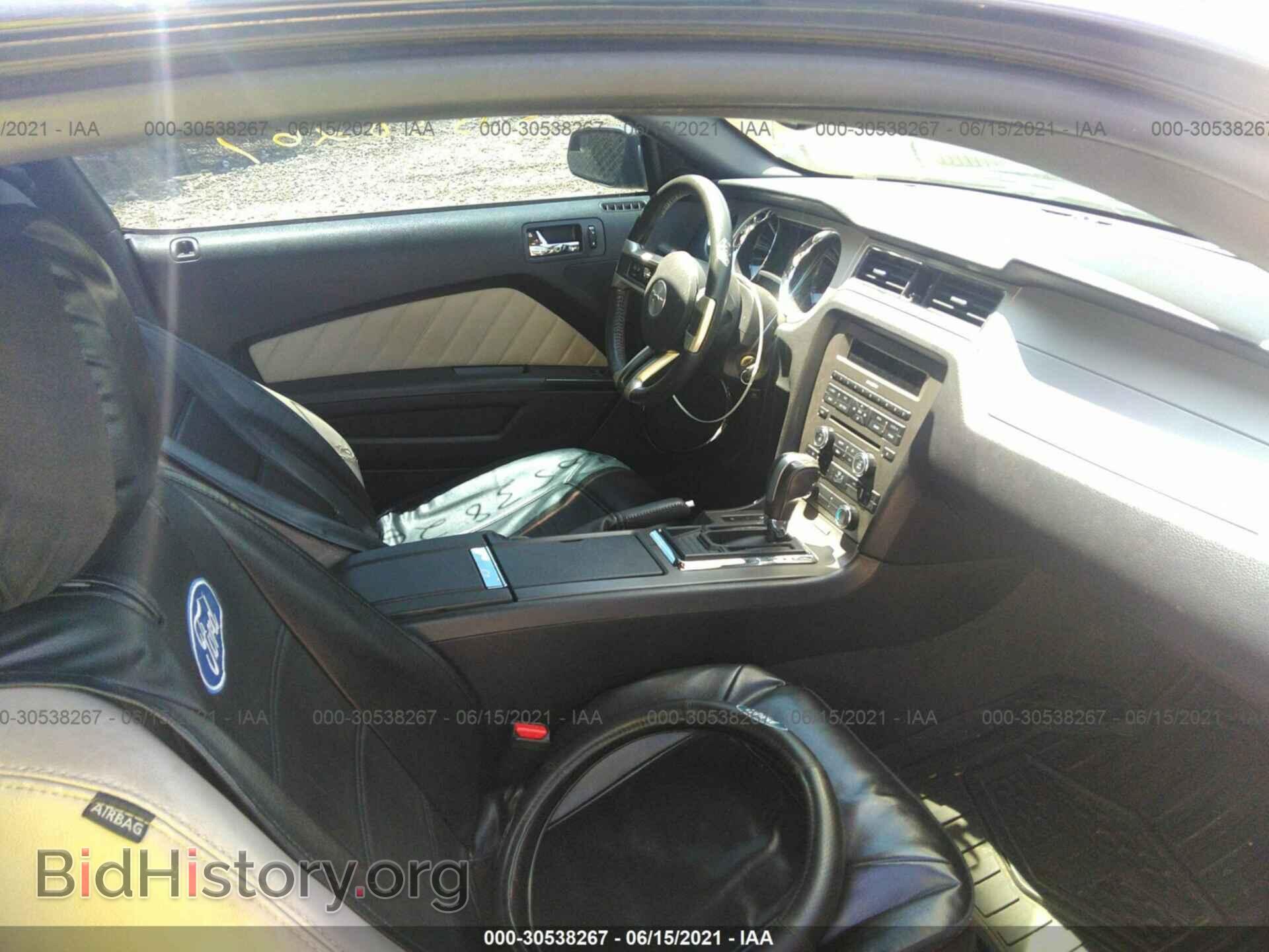 2013 FORD MUSTANG - VIN: 1ZVBP8AM6D5222102 - Фото 5