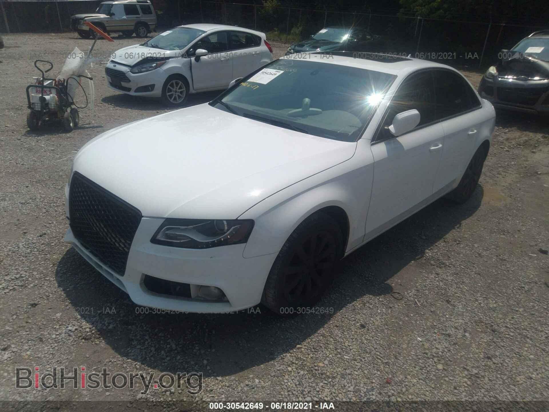 2010 AUDI A4 - VIN: WAUFFAFL0AN047126 - Фото 2