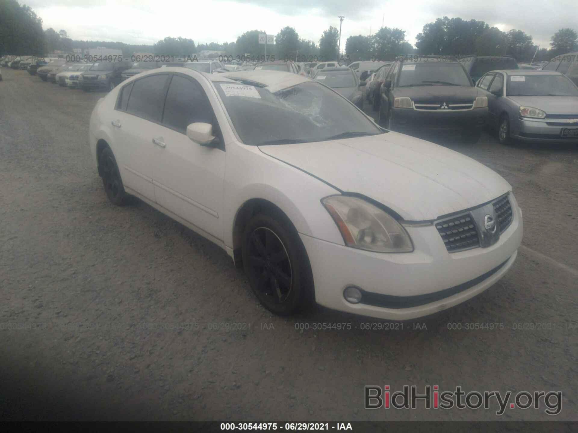 Photo 1N4BA41EX6C865563 - NISSAN MAXIMA 2006