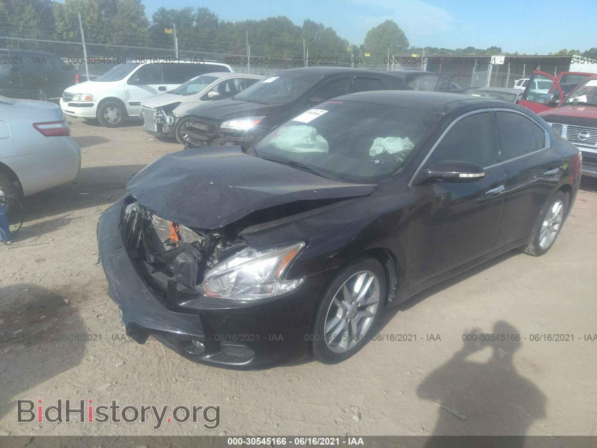 2011 NISSAN MAXIMA - VIN: 1N4AA5AP1BC825269 - Фото 2