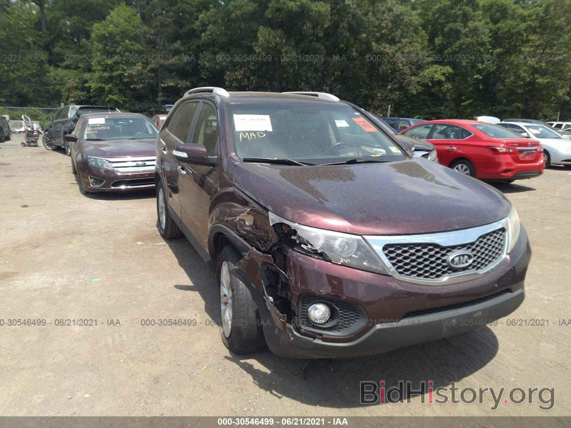 Photo 5XYKUCA13BG002585 - KIA SORENTO 2011