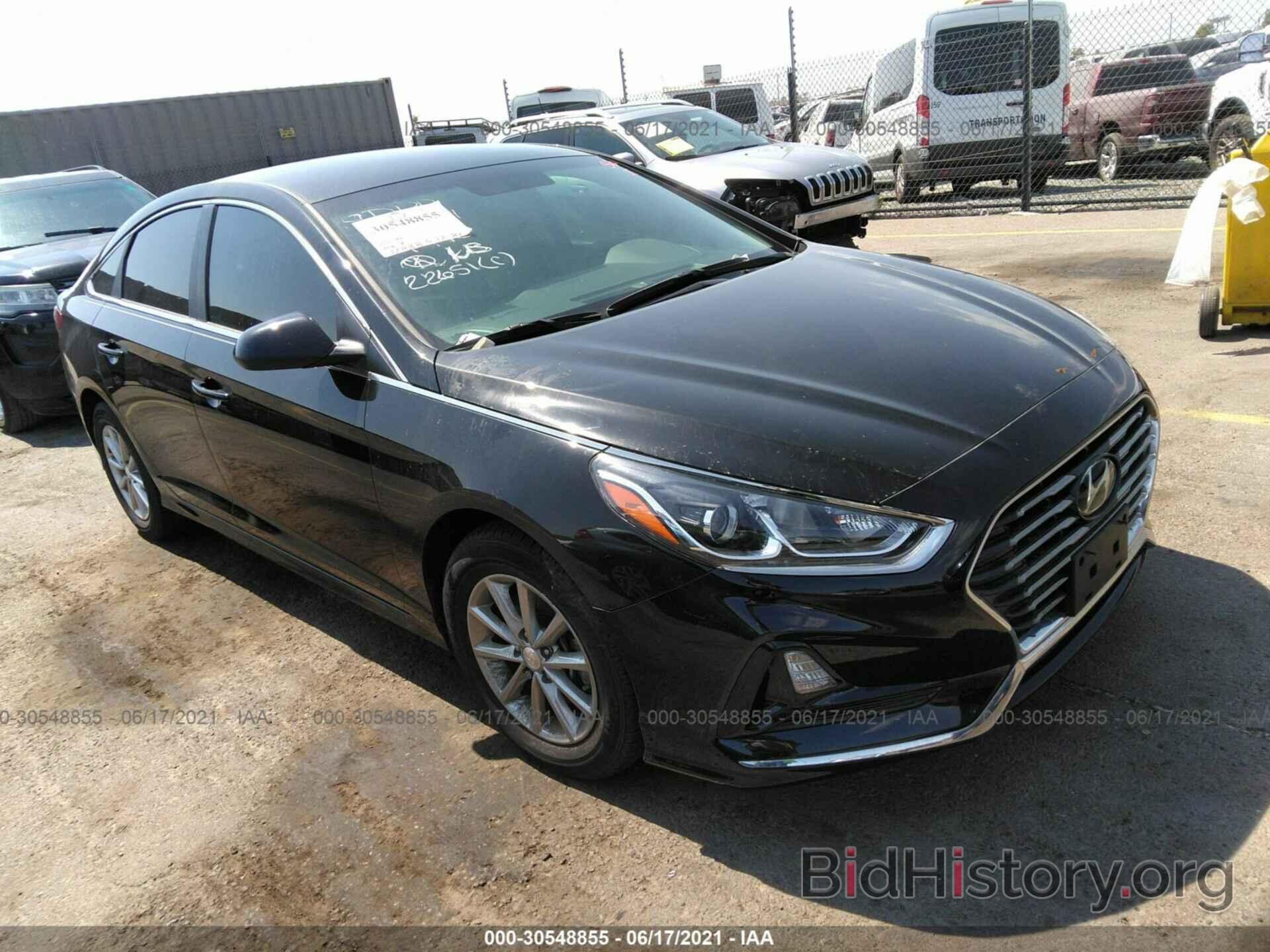 Photo 5NPE24AF1KH737918 - HYUNDAI SONATA 2019