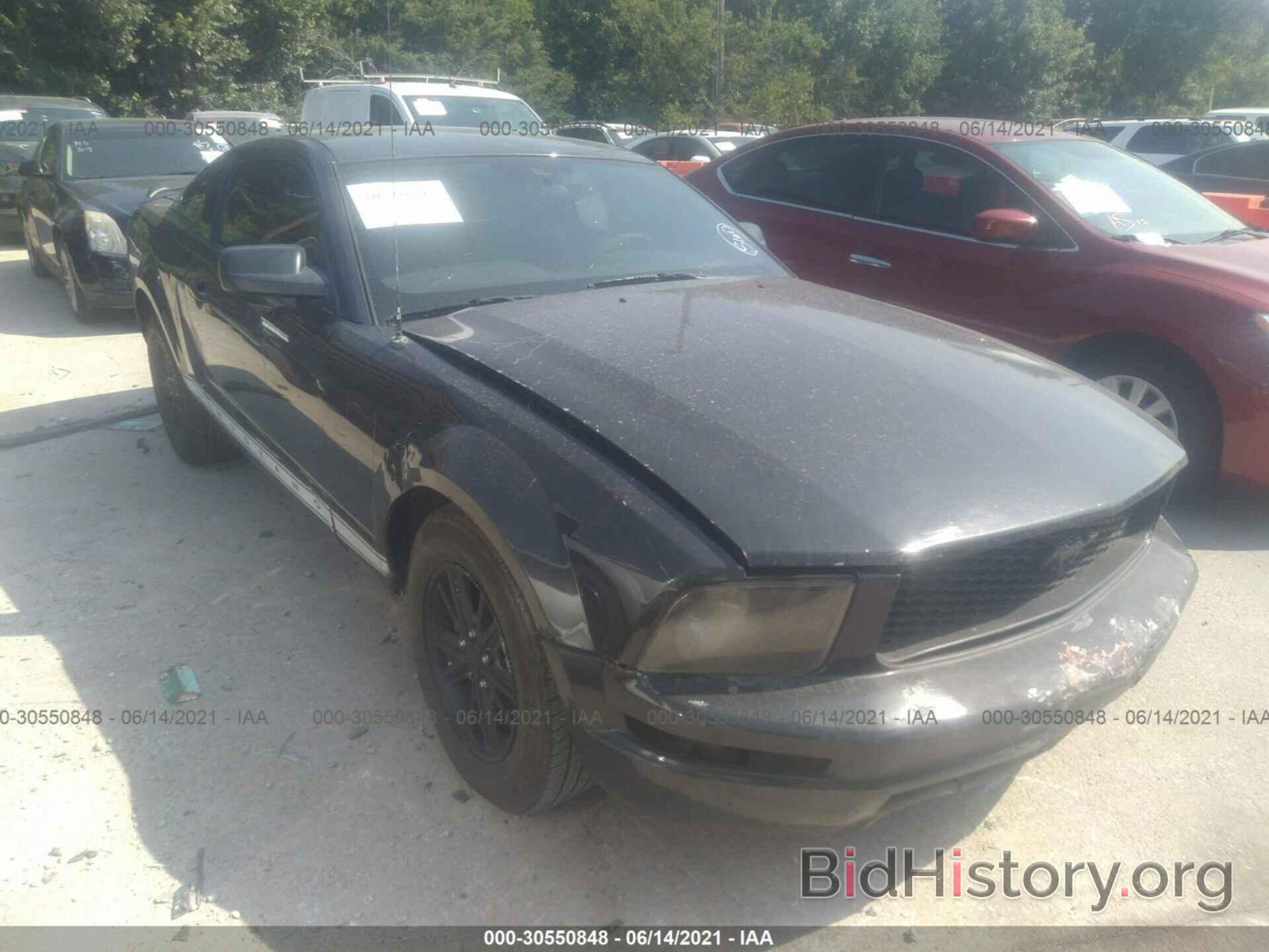 Photo 1ZVHT80N985127264 - FORD MUSTANG 2008