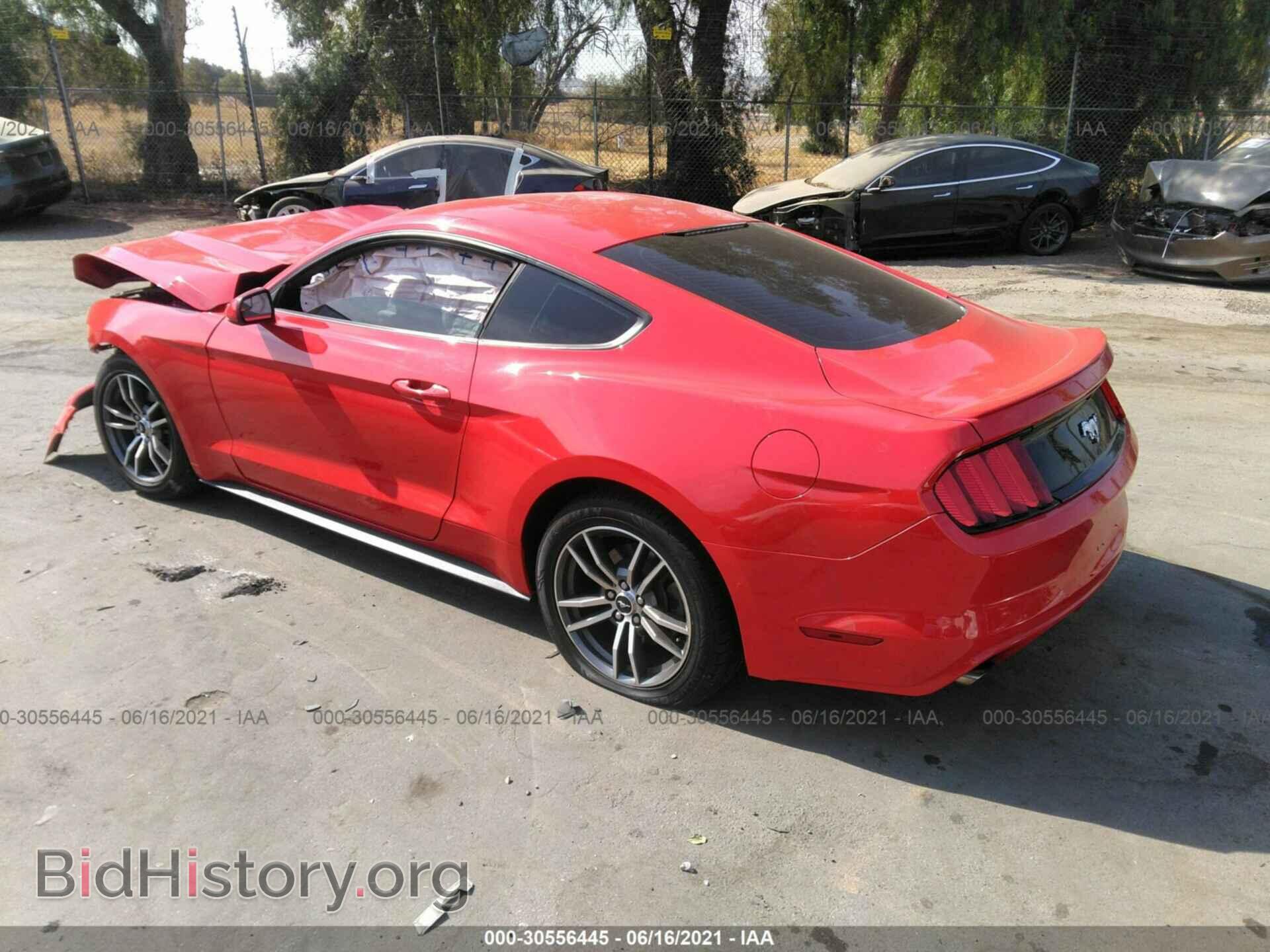2017 FORD MUSTANG - VIN: 1FA6P8TH7H5231004 - Фото 3