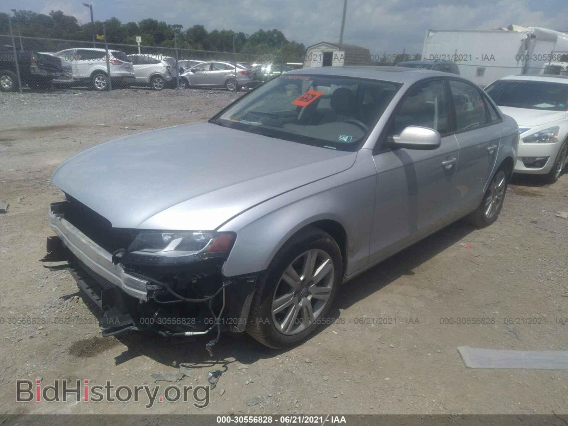 2011 AUDI A4 - VIN: WAUBFAFL8BN021969 - Фото 2