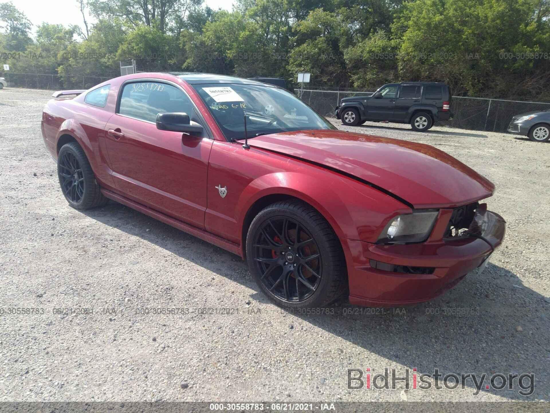 Photo 1ZVHT82H495119792 - FORD MUSTANG 2009